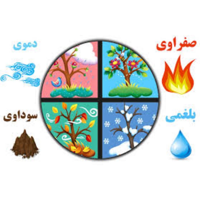 کلیپ مهم استاد طالقانی در خصوص مزاج جبلی و غلبه مزاج